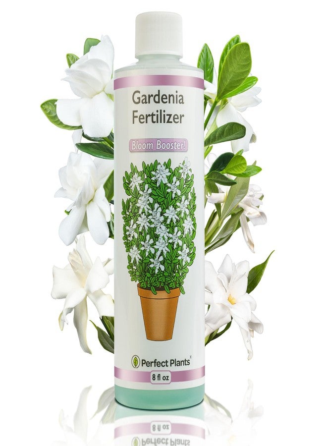PERFECT PLANTS سماد سائل مثالي للغاردينيا من بيرفكت بلانتس | 8 أونصات. غذاء نباتي مُصمم خصيصًا لتعزيز الإزهار | رائع للنباتات المزهرة الداخلية والخارجية - Image 1
